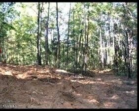 Tract 2 Jd Lee Farm Rd, Tellico Plains, TN 37385