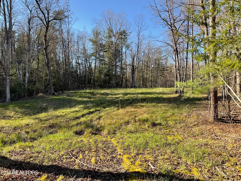 Tract 2 Pine Breeze Dr, Monterey, TN 38574