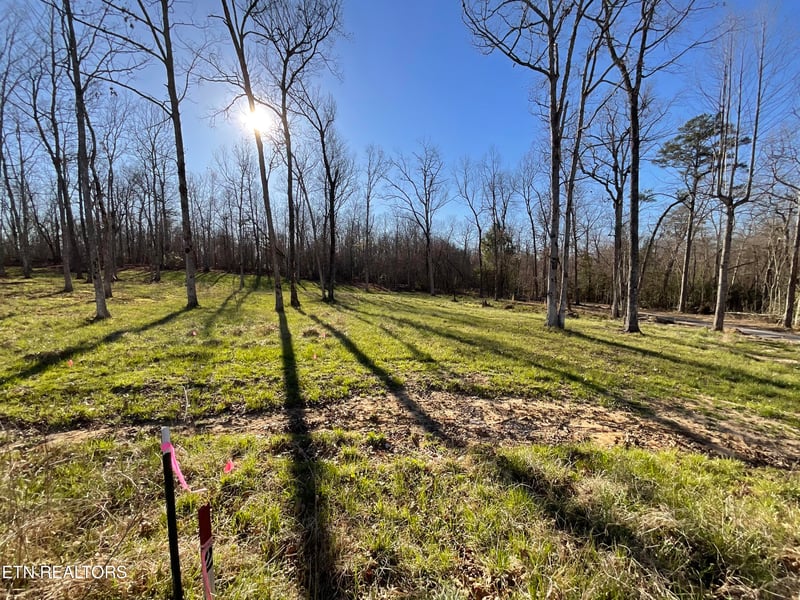 Tract 2 Pine Breeze Dr, Monterey, TN 38574