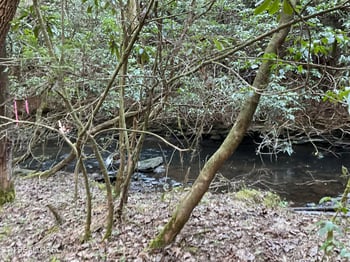 Tract 2 Pine Breeze Dr, Monterey, TN 38574