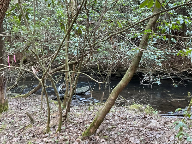 Tract 2 Pine Breeze Dr, Monterey, TN 38574