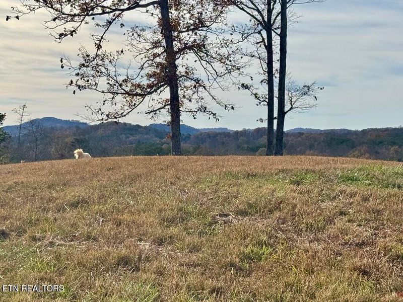 Tract 2 Three Point Rd, Vonore, TN 37885