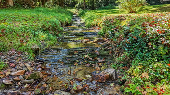 Tract 2R-3 Cold Springs Rd, Walland, TN 37886