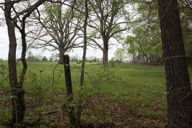 Tract 3 Big Springs Rd, Friendsville, TN 37737