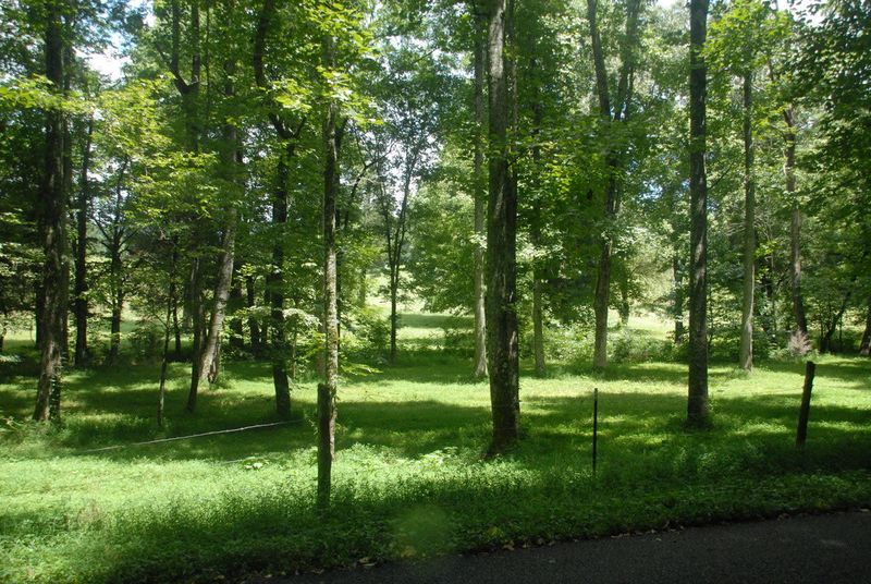 Tract 3 Brunner Rd, Sweetwater, TN 37874
