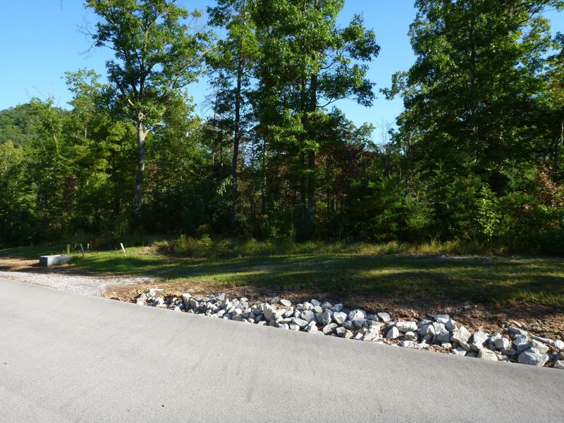 Tract 3 Long Rifle Rd, Walland, TN 37886