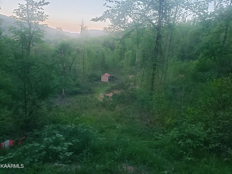 Tract 3 Roe Ln, Winfield, TN 37892