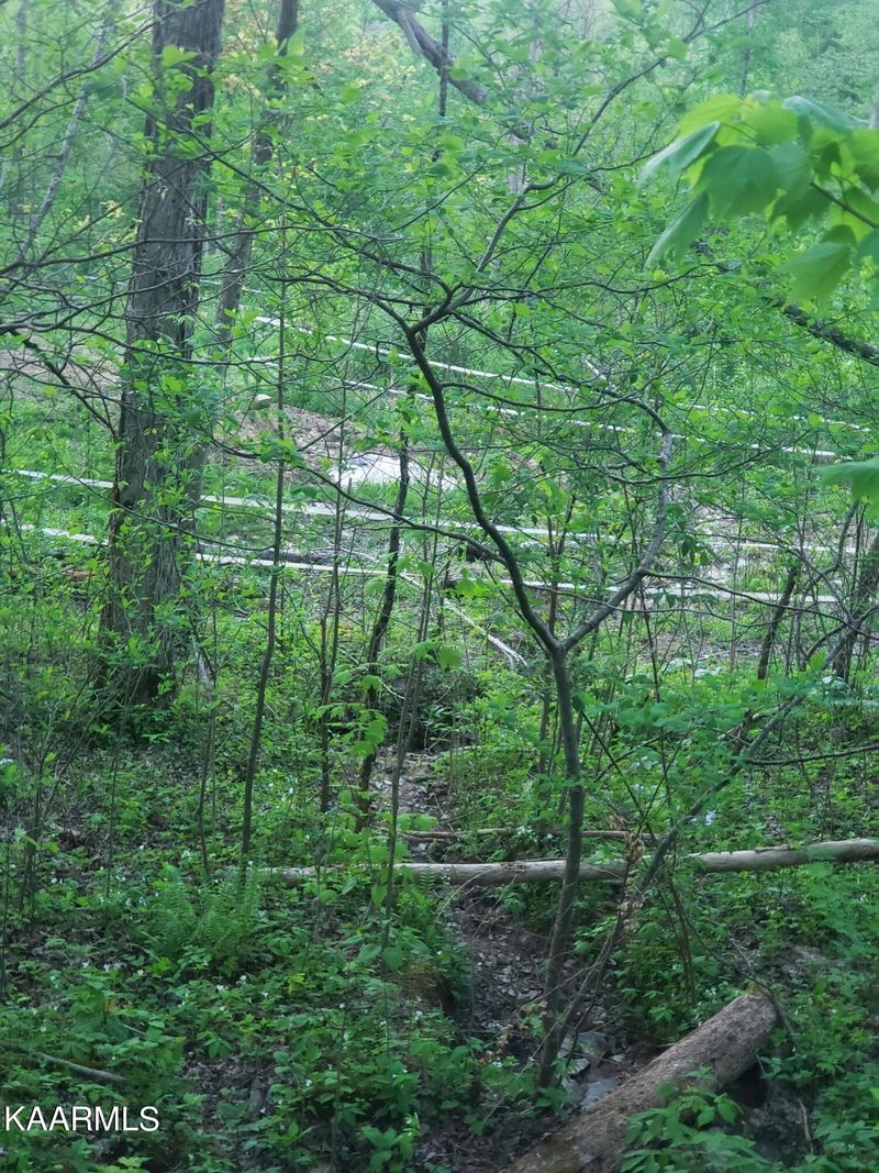 Tract 3 Roe Ln, Winfield, TN 37892