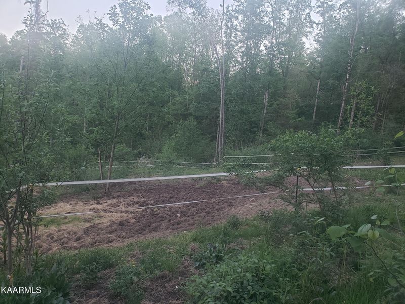 Tract 3 Roe Ln, Winfield, TN 37892