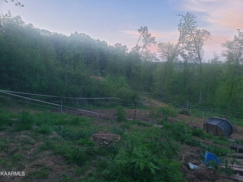 Tract 3 Roe Ln, Winfield, TN 37892