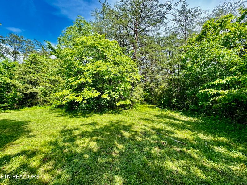 Tract 3 Tazewell Pike, Corryton, TN 37721