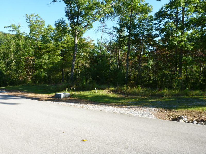 Tract 3b Long Rifle Rd, Walland, TN 37886