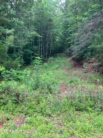 Tract 4 3 Point Rd, Vonore, TN 37885