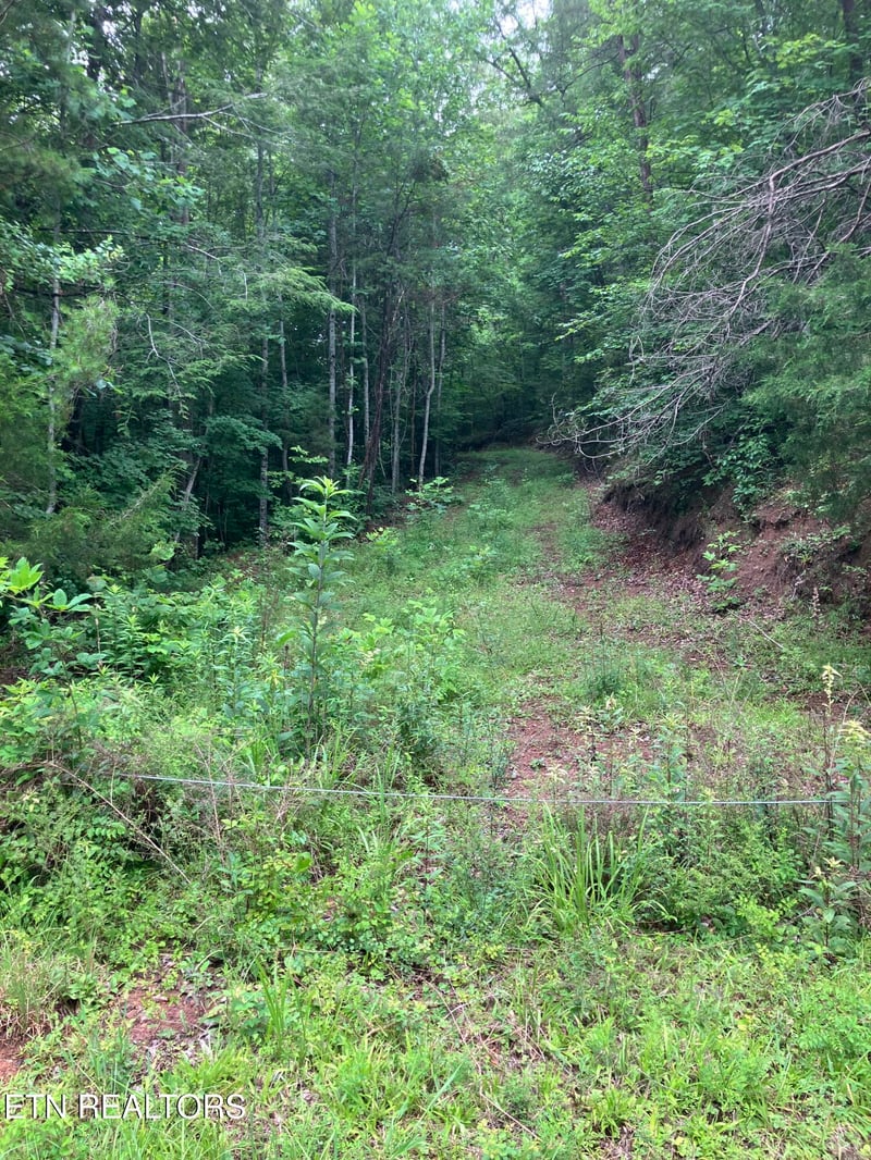 Tract 4 3 Point Rd, Vonore, TN 37885