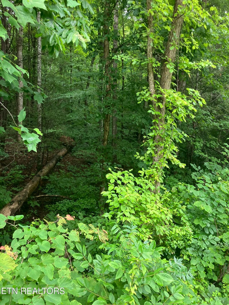 Tract 4 3 Point Rd, Vonore, TN 37885