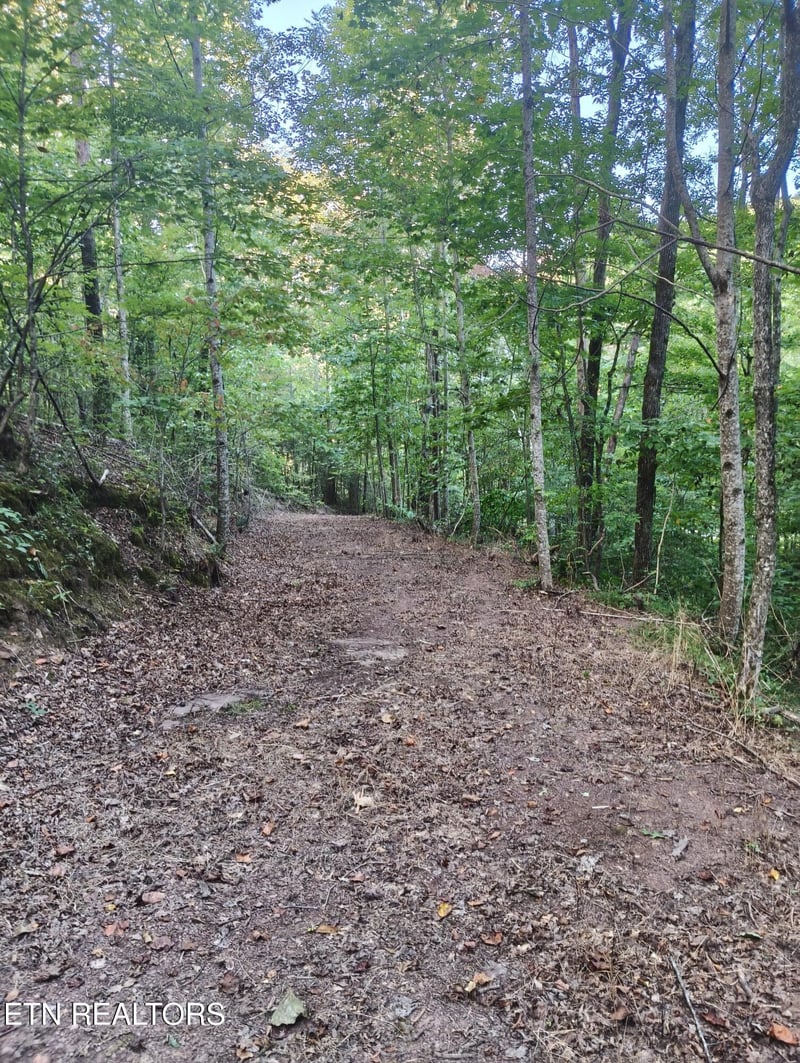 Tract 4 3 Point Rd, Vonore, TN 37885