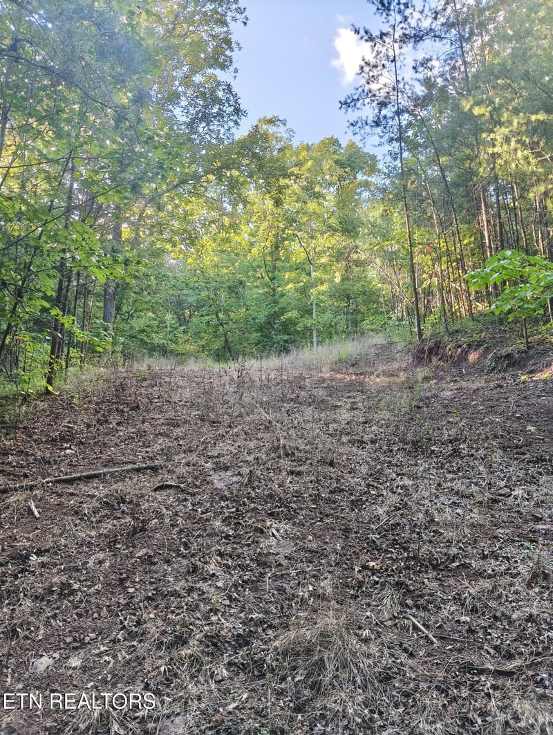Tract 4 3 Point Rd, Vonore, TN 37885