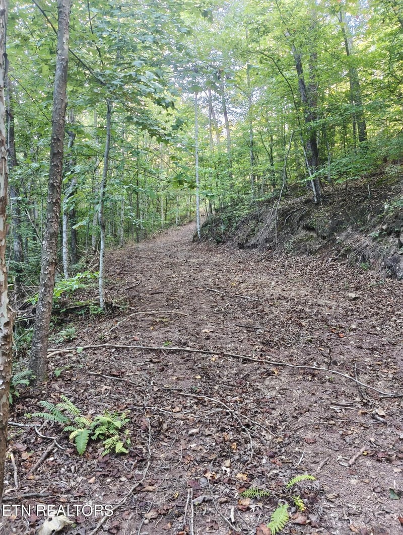 Tract 4 3 Point Rd, Vonore, TN 37885