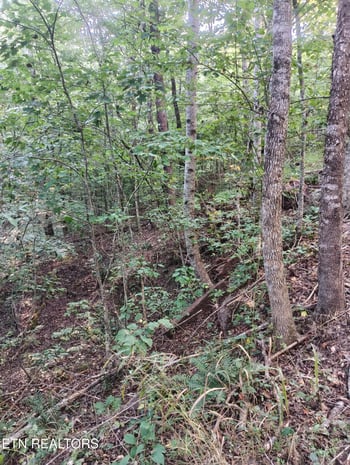 Tract 4 3 Point Rd, Vonore, TN 37885