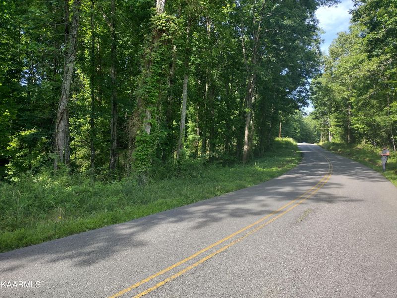 Tract 4 Pilot Mountain Rd, Sunbright, TN 37872