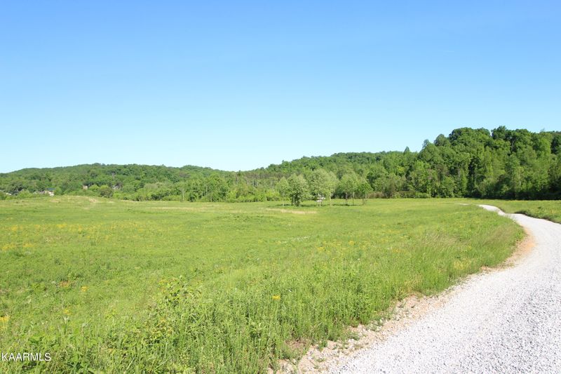 Tract 5 Dogtown Rd, Ten Mile, TN 37880