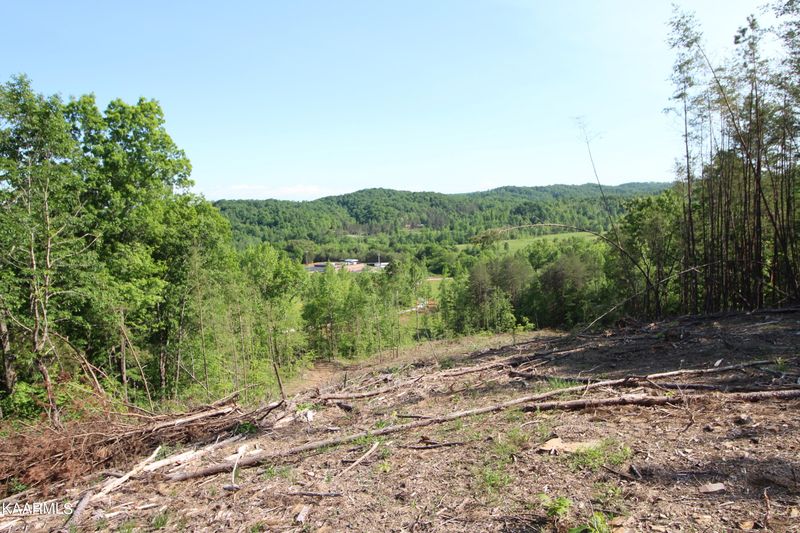 Tract 6 Dogtown Rd, Ten Mile, TN 37880