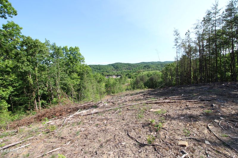 Tract 6 Dogtown Rd, Ten Mile, TN 37880