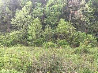 Tract 6 Wilhite Rd, Sevierville, TN 37876