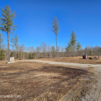Tract 8 Boone Ln, Sunbright, TN 37872