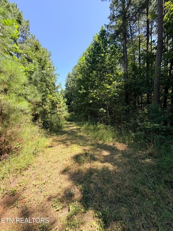Tract 9 Flatwoods Rd, Sweetwater, TN 37874