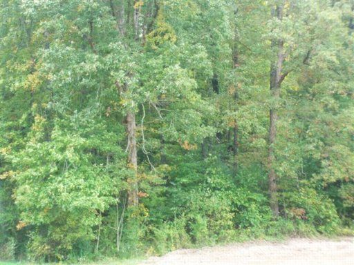Tract Co Rd 294, Niota, TN 37826