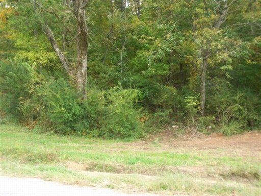 Tract Co Rd 294, Niota, TN 37826