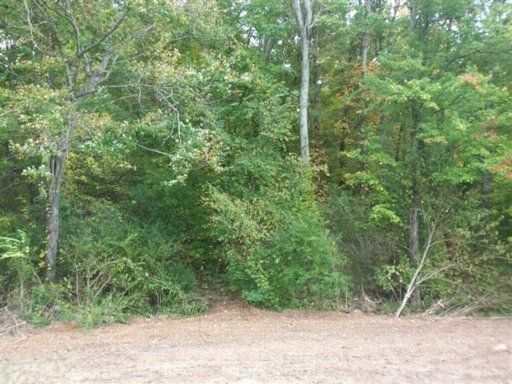 Tract Co Rd 294, Niota, TN 37826