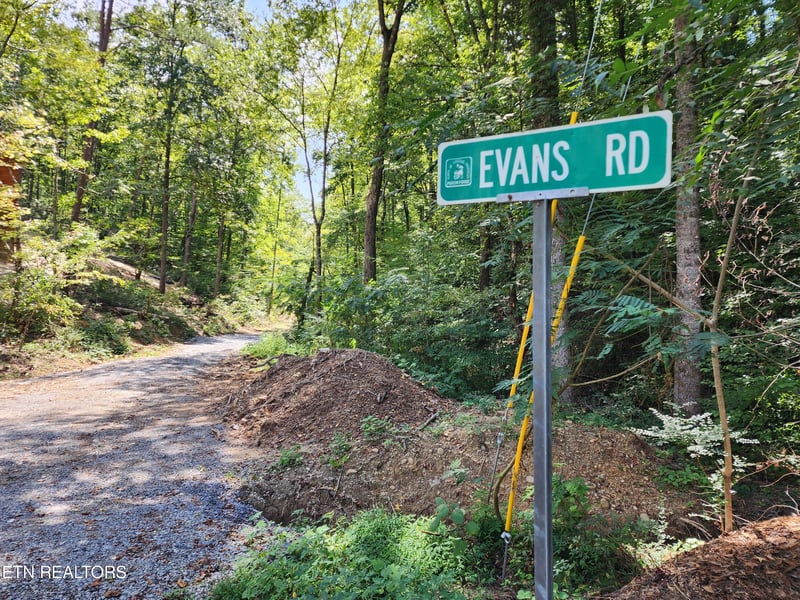 Tracts 123 Mcmahan Rd, Pigeon Forge, TN 37863