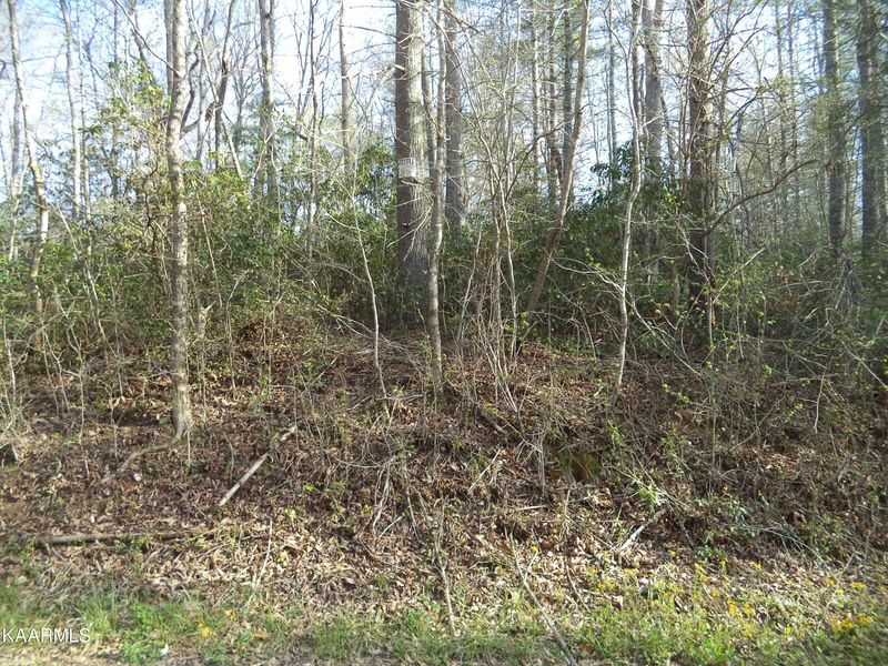 Trct 2 Low Gap Rd, Helenwood, TN 37755