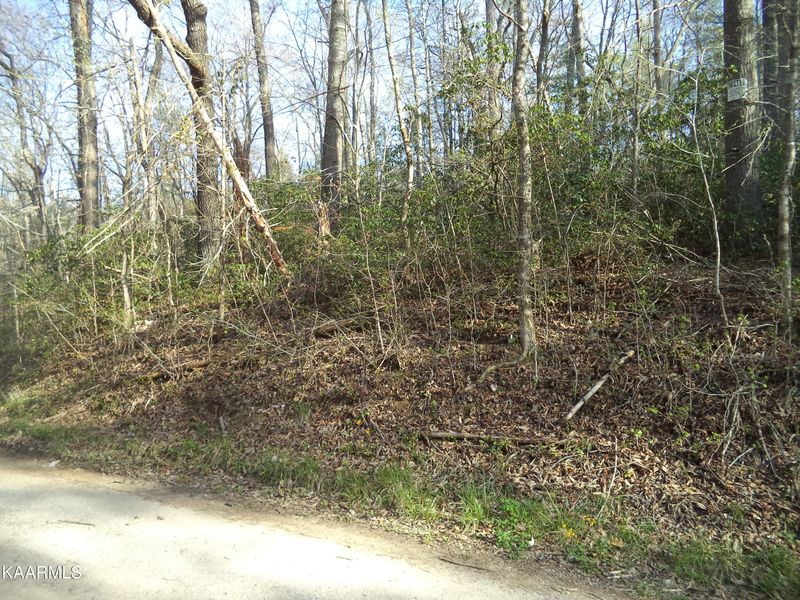 Trct 2 Low Gap Rd, Helenwood, TN 37755