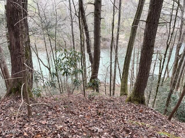 Trct 2 Low Gap Rd, Helenwood, TN 37755