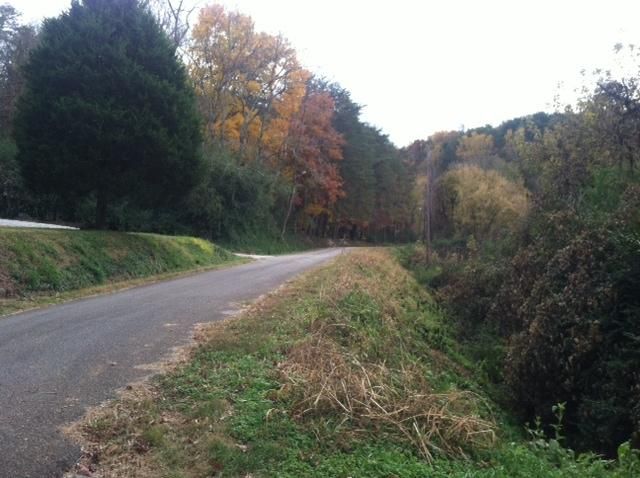 Trct 3 Willowbrook, Tellico Plains, TN 37385