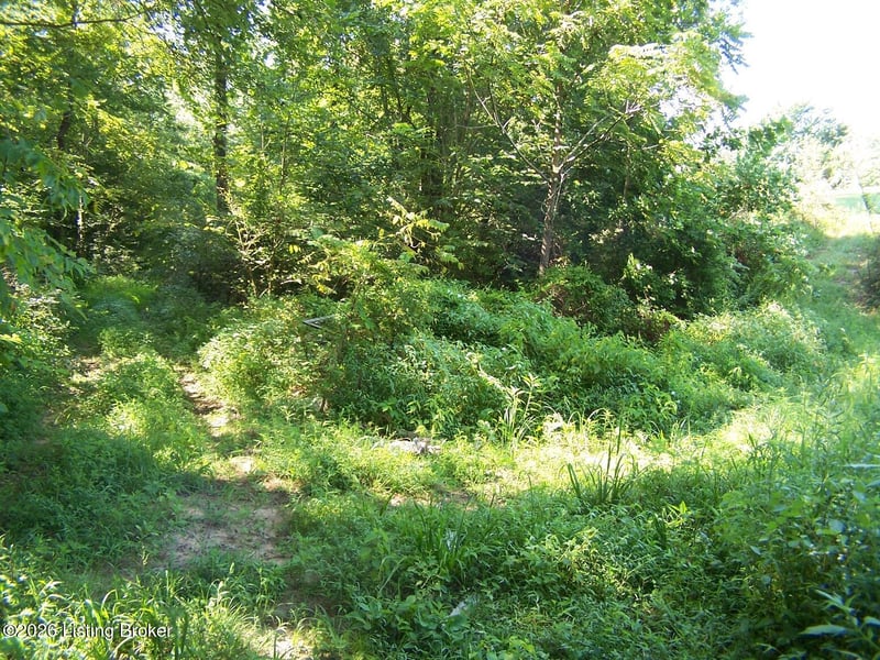 0 Anna Sandhill Rd, Bowling Green, KY 42101