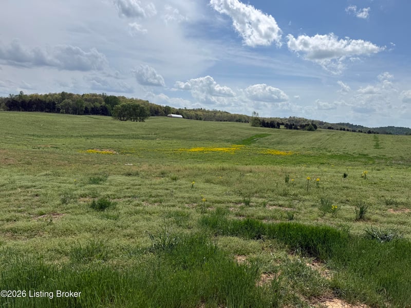 0 Carriewood Dr, Cecilia, KY 42724