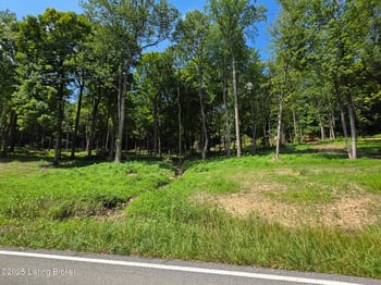 0 Cave Creek Rd, Falls Of Rough, KY 40119