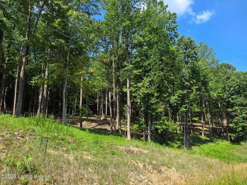 0 Cave Creek Rd, Falls Of Rough, KY 40119