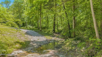 0 Clifty Hollow Rd, Bowling Green, KY 42101