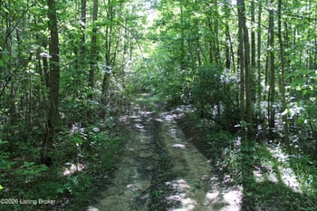 0 Ditney Hill Rd, Drakesboro, KY 42337