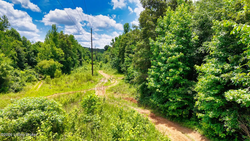 0 Ditney Hill Rd, Drakesboro, KY 42337