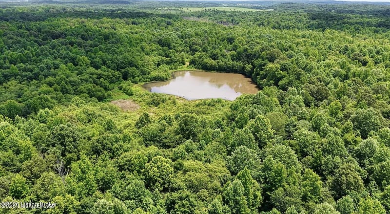 0 Ditney Hill Rd, Drakesboro, KY 42337