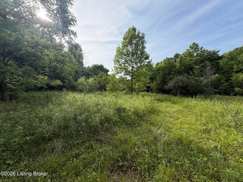 0 Dogwood Cross Rd, La Grange, KY 40031