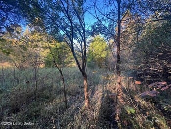 0 Dogwood Cross Rd, La Grange, KY 40031