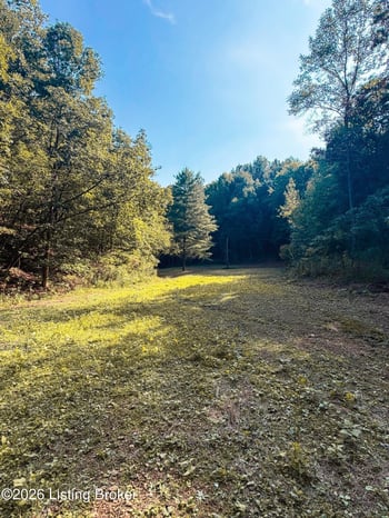 0 Dry Fork Rd, South Shore, KY 41175