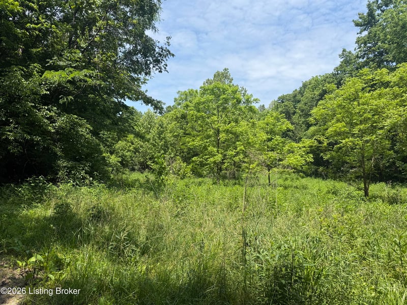 0 Edgar Basham Rd, Irvington, KY 40146
